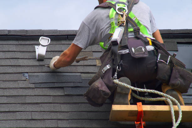 Best Roof Gutter Cleaning  in Mosheim, TN