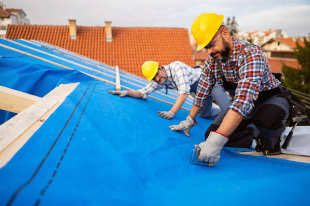 Best Roof Gutter Cleaning  in Mosheim, TN